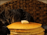 nom-nom-pancake