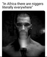niggerseverywhere