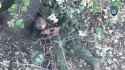 zigger suicide #990003_thumb.jpg