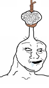 v brainlet (10)