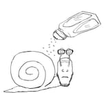 soy_snail