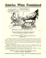 USA_feminized