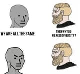 Diversity Question