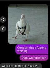 1726294032615308
