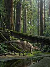 Koshisaurus Raúl Martín