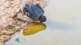 Chad_2019_man_drinking_dirty_water_from_Batha_river_reservoir_in_Oum-Hadjer_DSC4381-2