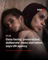 gaza famine 456