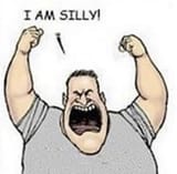 i am silly