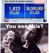 1728229869247930