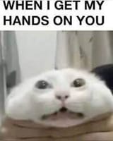 1616719243227