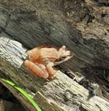 IMG_5809