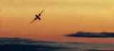 skyking