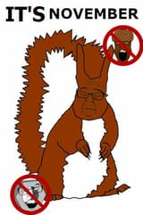 no nut