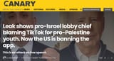 greenblatt tiktok