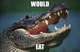 would eat