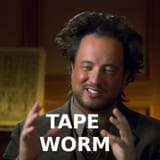 tapeworm