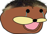1664540162528875