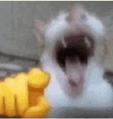 yuuwra