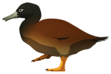 Talpanas