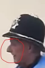 the nose knows