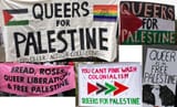 faggots for paleswine