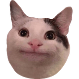 1737346824455