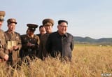 kim4