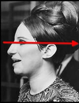 Streisand