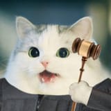 1605750476335