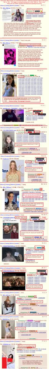 trans questions