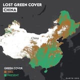 rsz_lost_green_cover-china-min