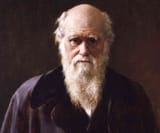 darwin scholarships are free