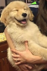 GwhBsArbEAE_A1f