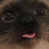 1679621030667408