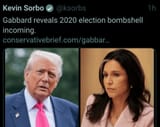TG 2020 fraud