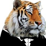 tiggytux