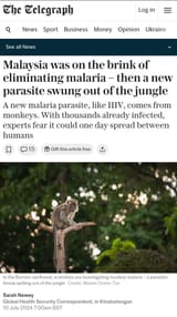 monkey malaria