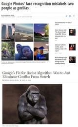 niggers are apes