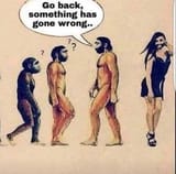 troon evolution