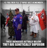 1739351974556495