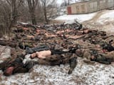 dead russmutt storage