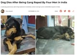 indians rape animals 1