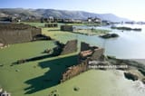 gettyimages-113407430-1024x1024