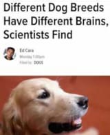 zslfjgldsjlkjlk