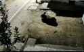 indians rape animals 15_thumb.jpg