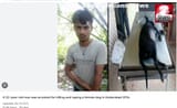 indians rape animals 8