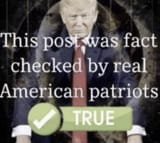 1731278762389621