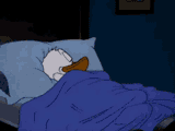 donald-duck