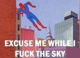 Spiderman-FuckTheSky