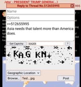 AI KAG Kill niggers